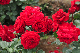 image0320