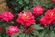 image0324