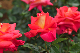 image0326
