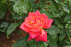 image0327