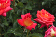 image0328