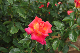 image0329