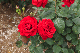 image0330