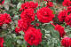 image0331
