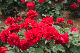 image0332