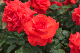 image0335