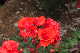 image0336