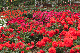 image0337