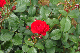image0340