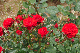 image0344