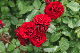 image0348