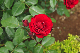image0351
