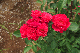 image0354