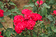 image0355
