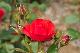 image0357