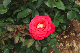 image0358