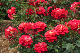 image0359