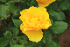 image0360