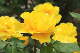 image0361