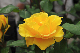 image0362