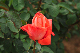 image0363