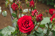 image0364