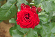 image0365