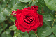 image0366