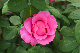 image0368