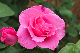 image0369