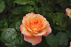 image0371