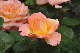 image0374