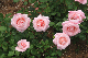 image0375