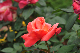 image0377