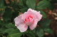 image0380