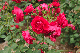 image0382