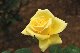 image0383
