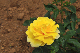 image0385