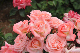image0386