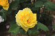 image0393