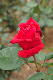 image0395