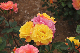 image0400