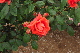 image0401