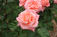 image0402