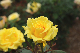 image0403