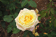 image0404