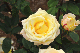 image0405