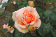 image0408