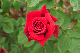 image0410
