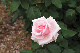image0413
